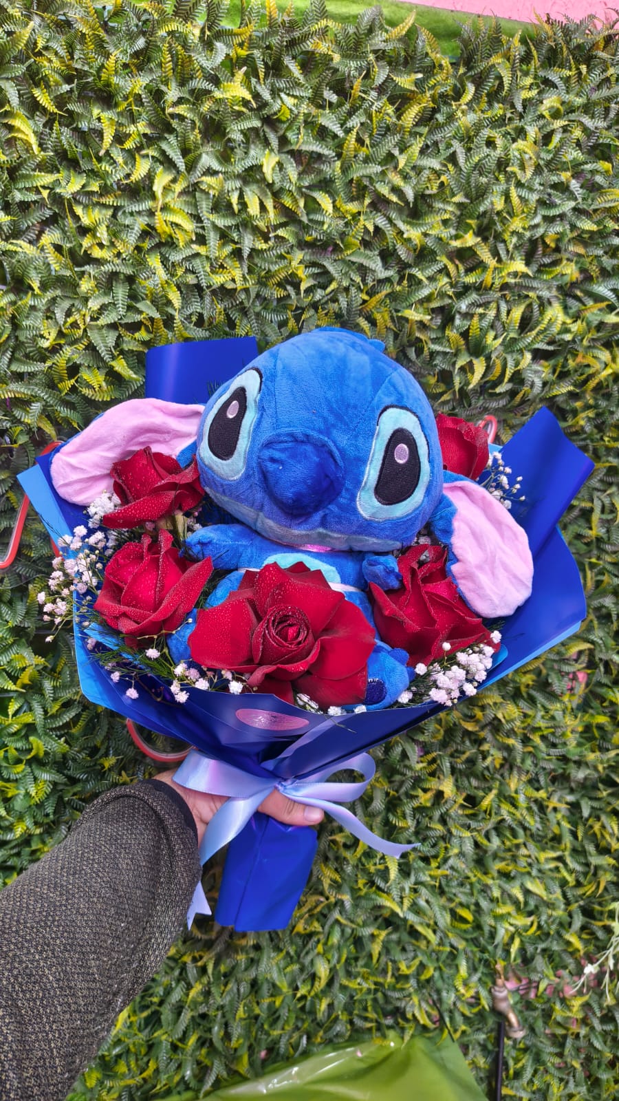 Buque Stich 