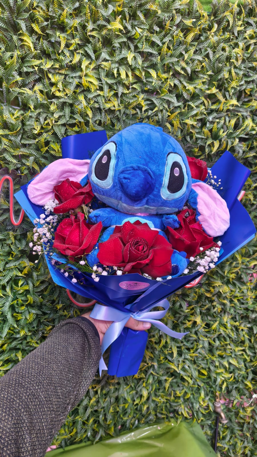 Buque Stich 